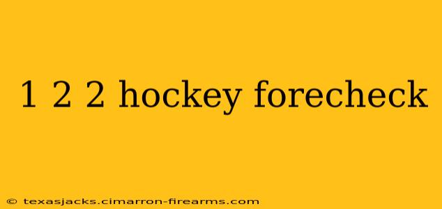 1 2 2 hockey forecheck