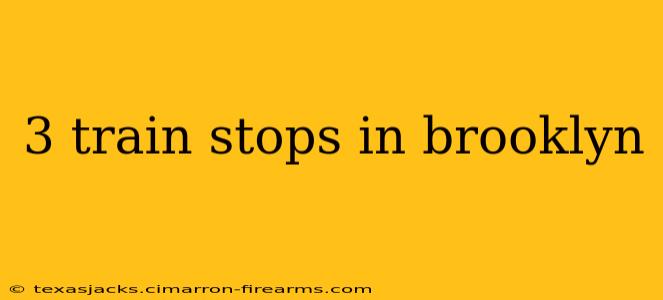 3 train stops in brooklyn