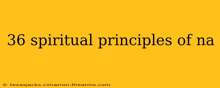 36 spiritual principles of na