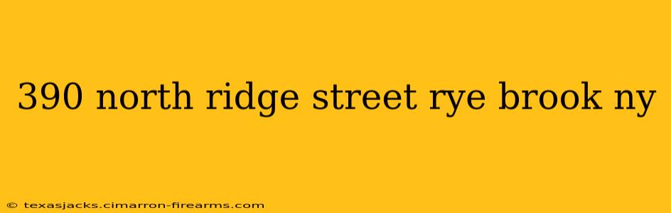 390 north ridge street rye brook ny