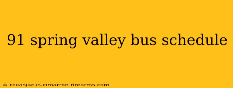 91 spring valley bus schedule