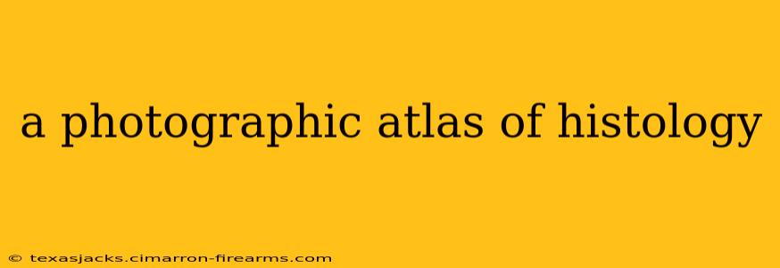 a photographic atlas of histology