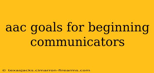 aac goals for beginning communicators