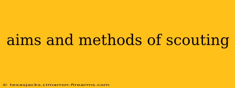 aims and methods of scouting