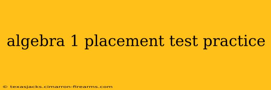 algebra 1 placement test practice