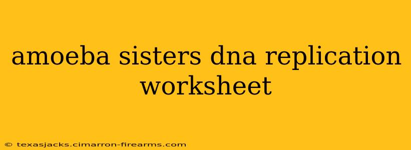 amoeba sisters dna replication worksheet