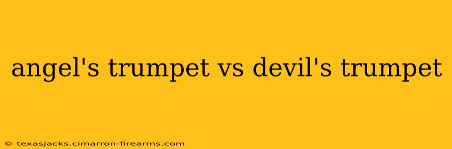 angel's trumpet vs devil's trumpet