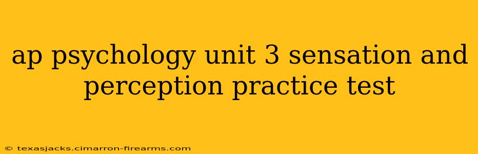 ap psychology unit 3 sensation and perception practice test