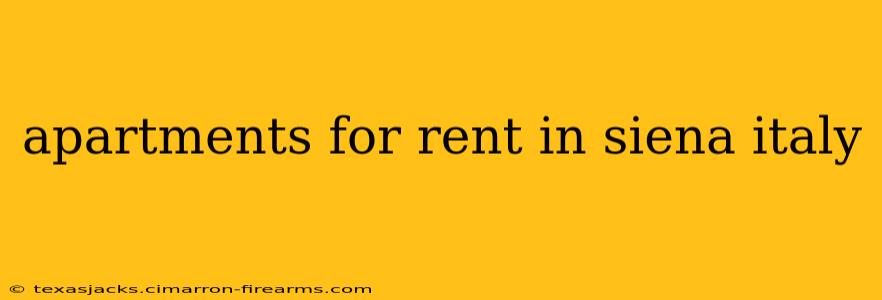 apartments for rent in siena italy