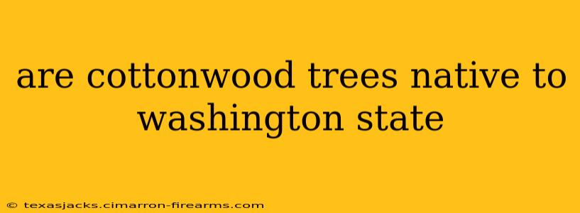 are cottonwood trees native to washington state