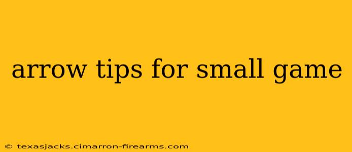 arrow tips for small game