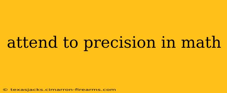 attend to precision in math