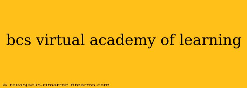 bcs virtual academy of learning