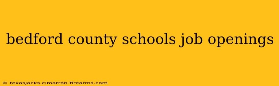 bedford county schools job openings