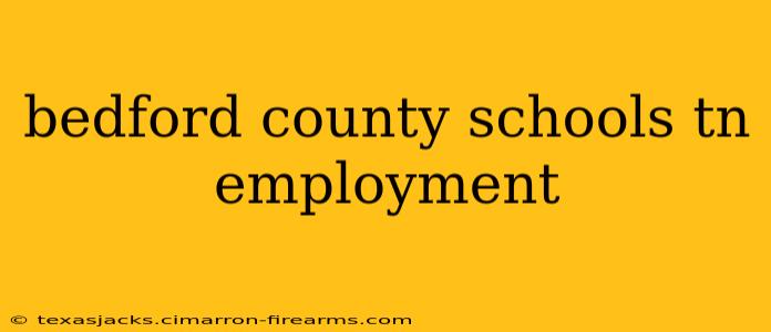 bedford county schools tn employment