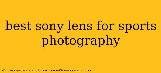 best sony lens for sports photography