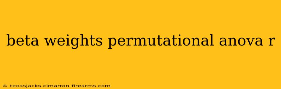 beta weights permutational anova r