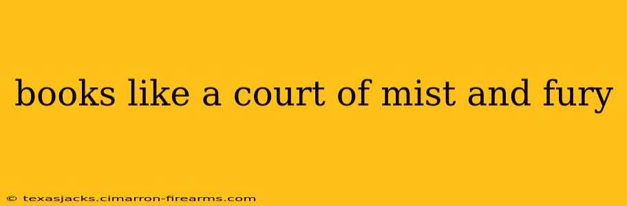 books like a court of mist and fury