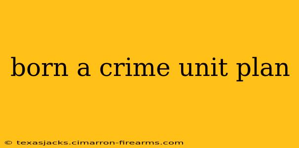 born a crime unit plan