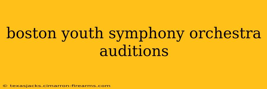 boston youth symphony orchestra auditions