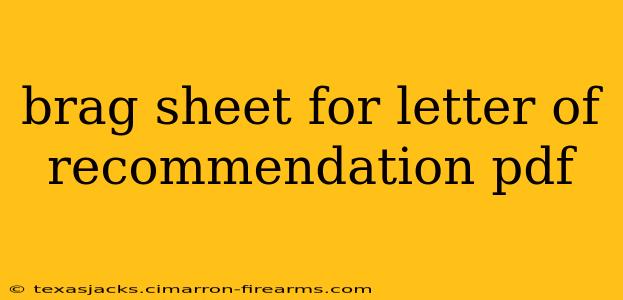 brag sheet for letter of recommendation pdf