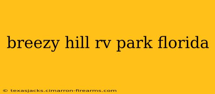 breezy hill rv park florida