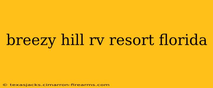 breezy hill rv resort florida