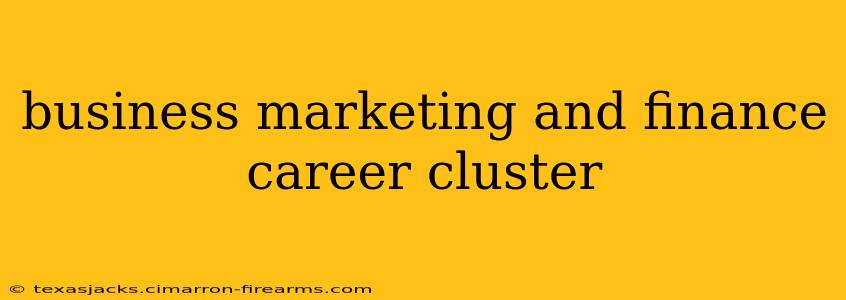 business marketing and finance career cluster