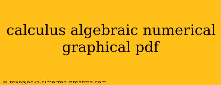 calculus algebraic numerical graphical pdf