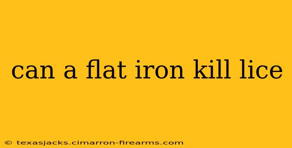 can a flat iron kill lice