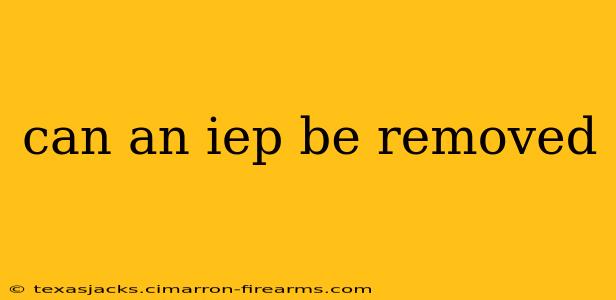 can an iep be removed