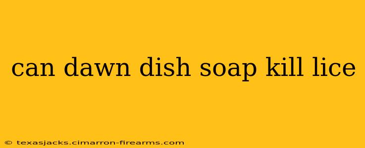 can dawn dish soap kill lice