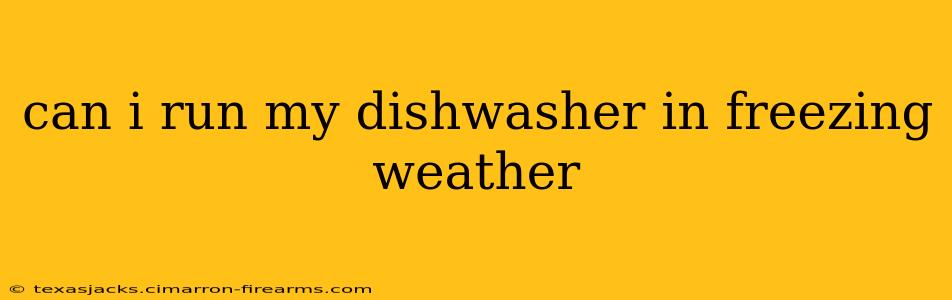 can i run my dishwasher in freezing weather