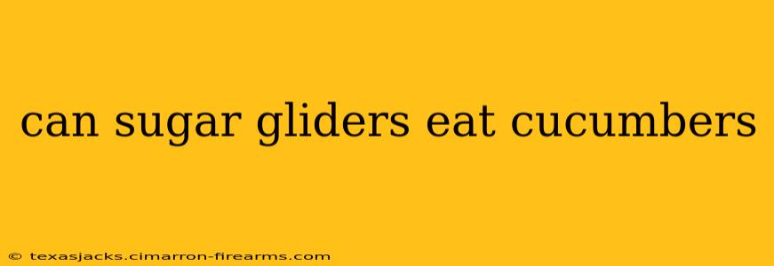 can sugar gliders eat cucumbers