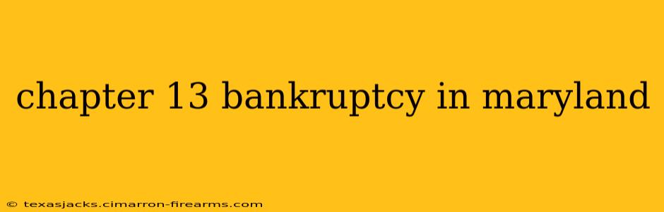 chapter 13 bankruptcy in maryland