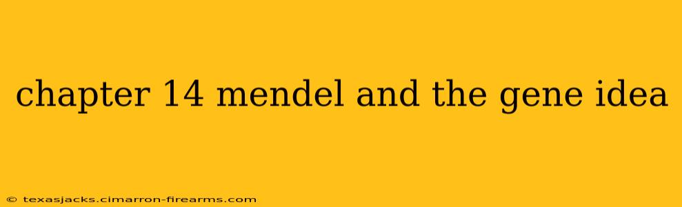 chapter 14 mendel and the gene idea