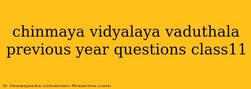 chinmaya vidyalaya vaduthala previous year questions class11