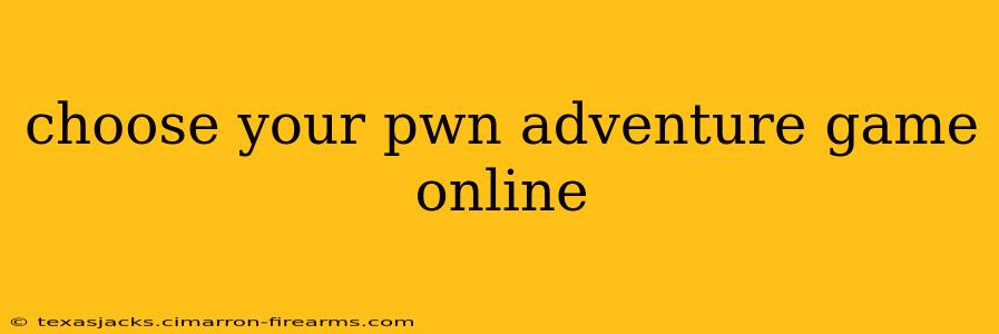 choose your pwn adventure game online