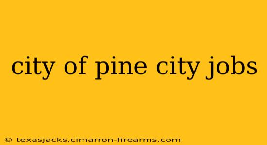 city of pine city jobs