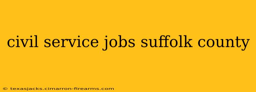 civil service jobs suffolk county