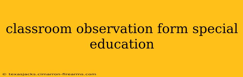 classroom observation form special education