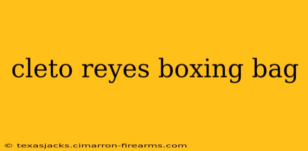 cleto reyes boxing bag