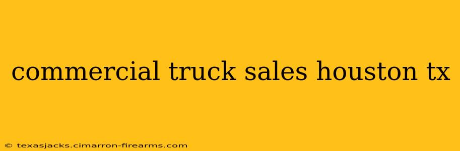 commercial truck sales houston tx