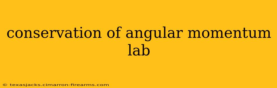 conservation of angular momentum lab