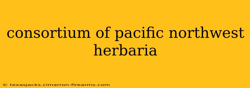 consortium of pacific northwest herbaria