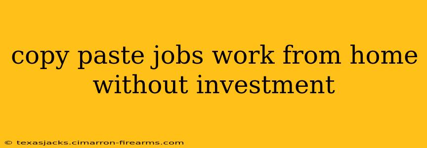 copy paste jobs work from home without investment