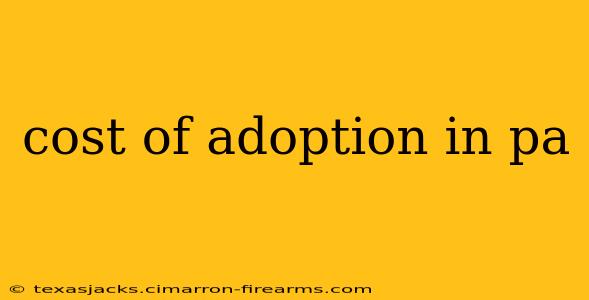 cost of adoption in pa