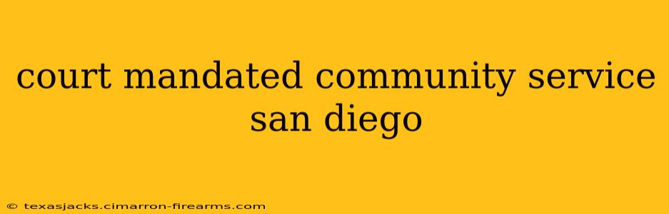 court mandated community service san diego