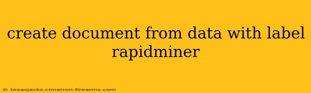 create document from data with label rapidminer