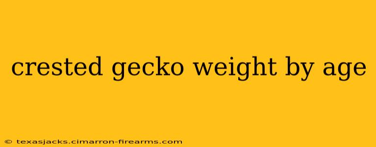 crested gecko weight by age